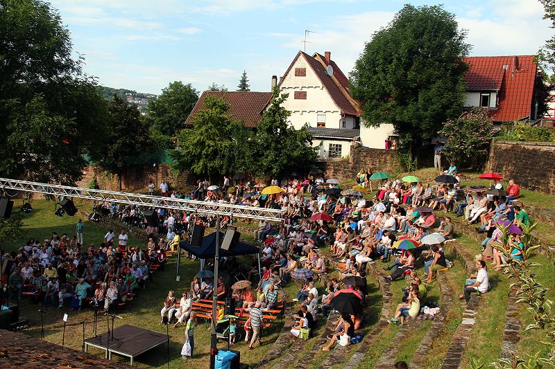 ../Images/2014-07-07-Benefizkonzert (4).jpg